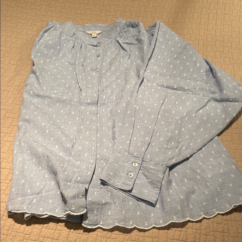 Joie Light Blue Swiss Dot Long Sleeve Blouse